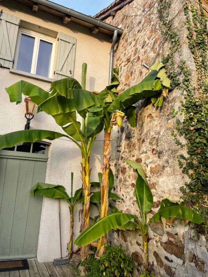Maison Hirondelles Gites Mezieres-sur-Issoire Esterno foto